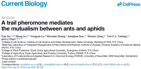圖形用戶界面, 文本, 應用程序 描述已自動生成